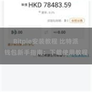 Bitpie安装教程 比特派钱包新手指南：下载使用教程