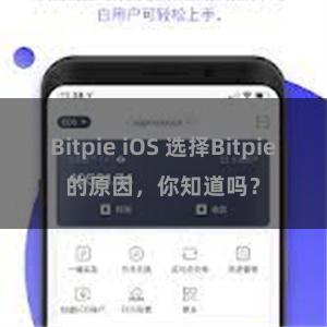 Bitpie iOS 选择Bitpie的原因，你知道吗？