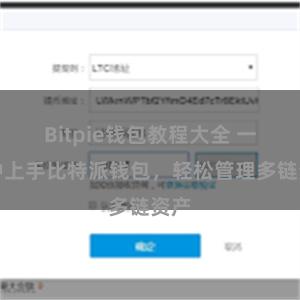 Bitpie钱包教程大全 一分钟上手比特派钱包，轻松管理多链资产