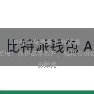 Bitpie免费版 比特派备份教程：保护数字资产，轻松备份数据