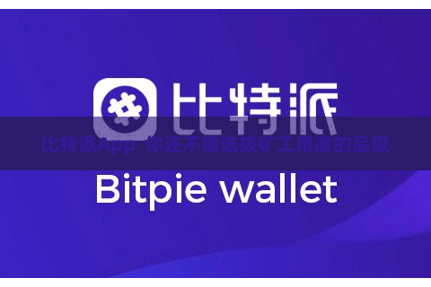 比特派App  你还不错选拔矿工用度的品级